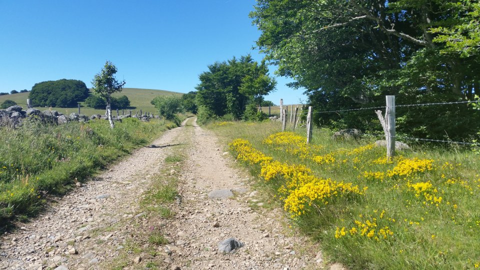 Dpart de la randonne 