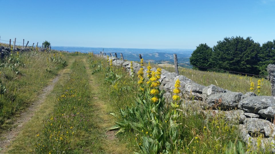 Juste avant de dcouvrir la valle