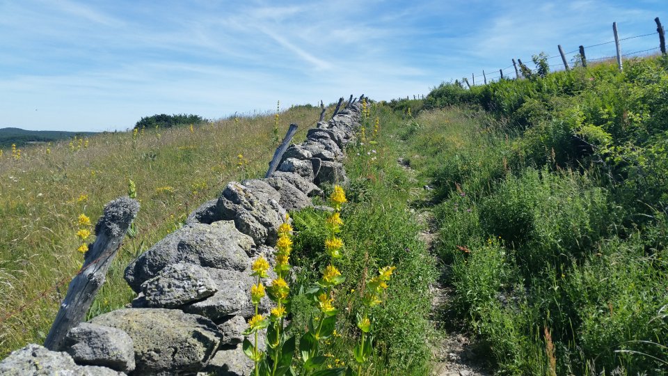 La draille descend face  la valle