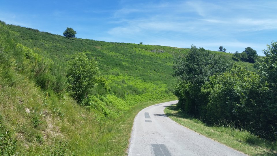 Un petit passage sur une route peu passante