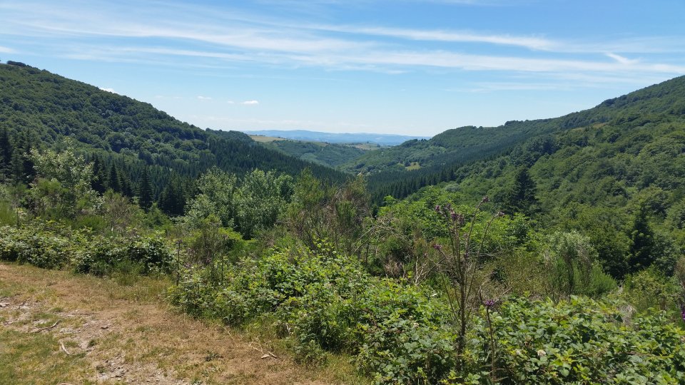 On devine au loin le plateau de l'autre c�t� de la vall�e