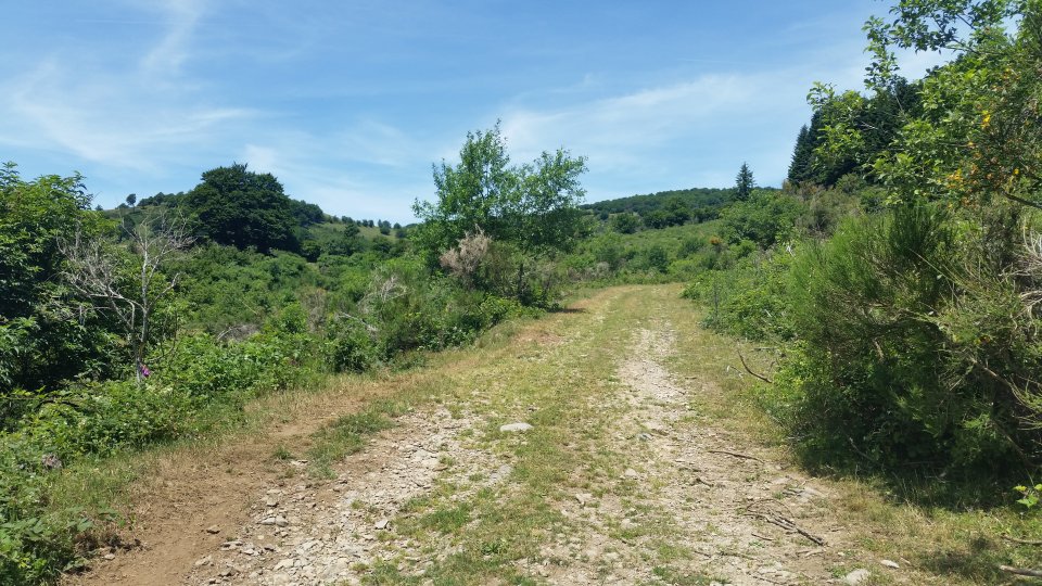 Un peu avant la ferme � traverser