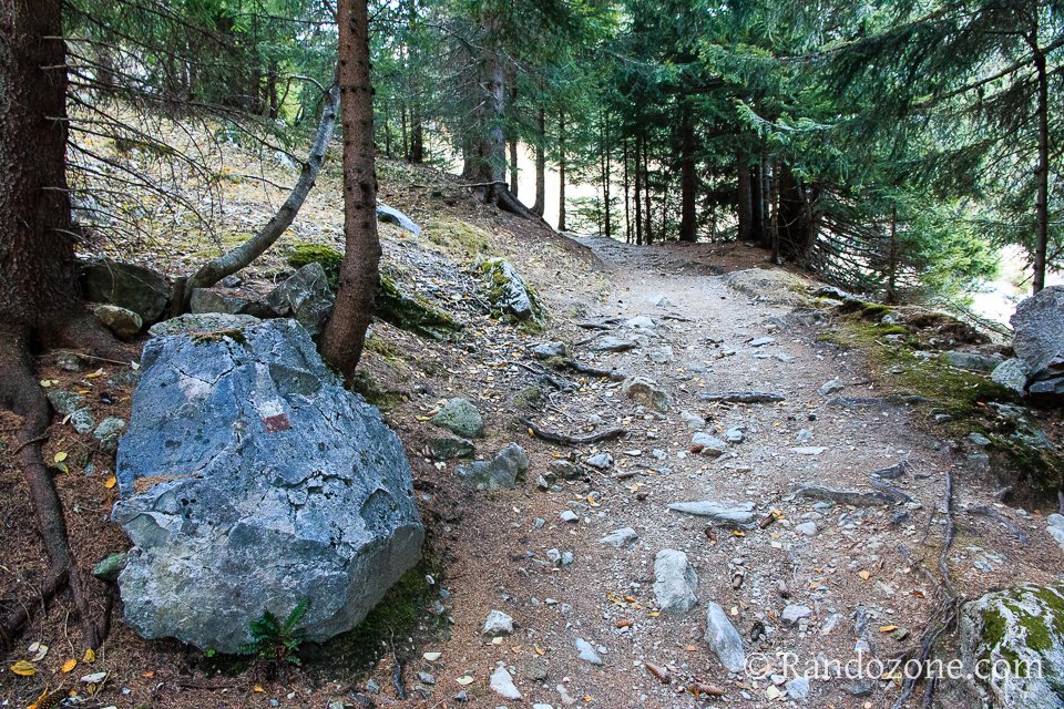 On traverse des bosquets par endroit