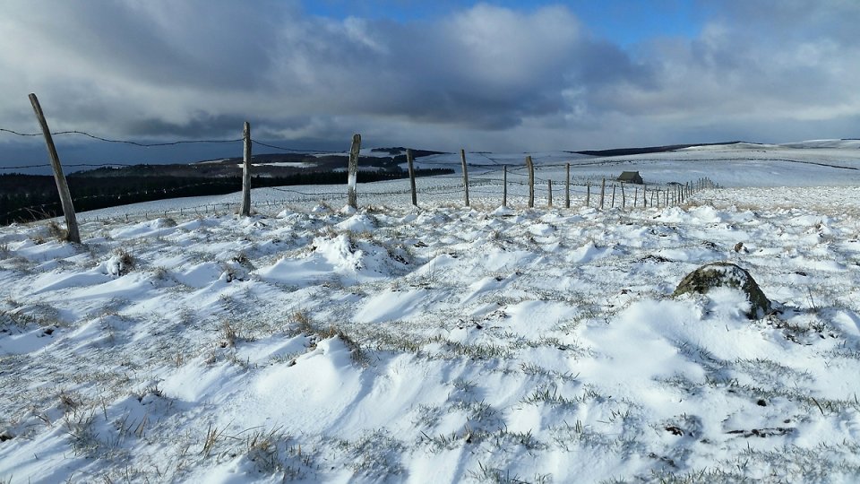 La neige est arrive sur l'Aubrac ce matin