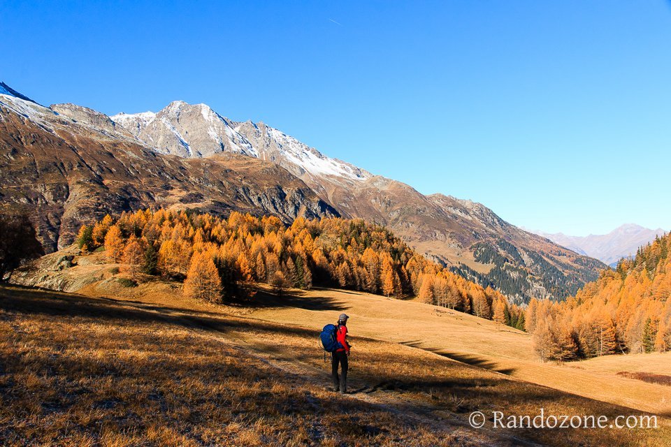 Au fond il y a mme un troupeau de chamois qui jouent