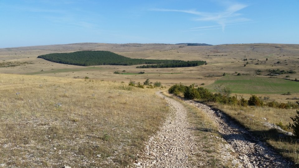 Le chemin  perte de vue