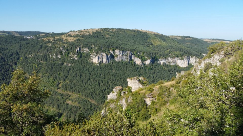 Dans les gorges verdoyantes