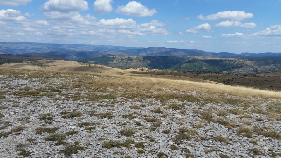 Au sommet du Mont Gargo