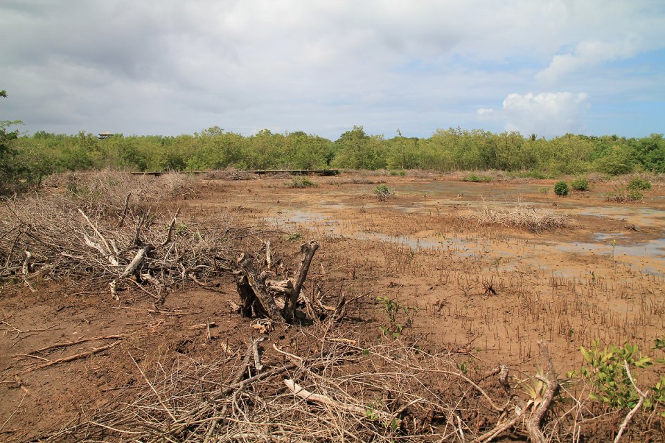 Quelque part au milieu de rien