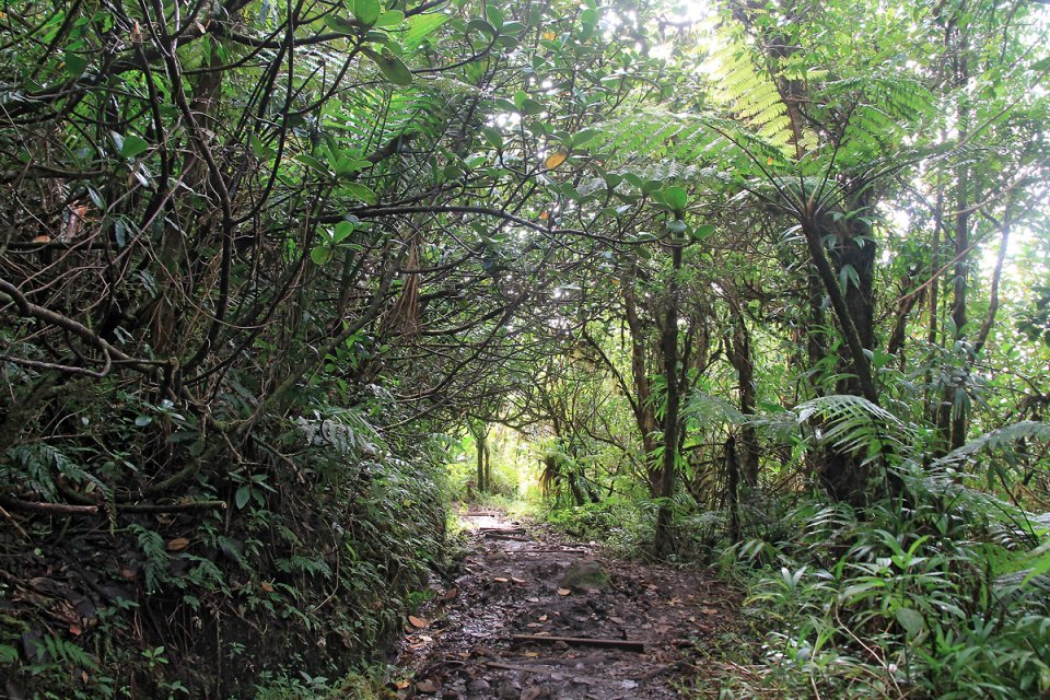 Le chemin est glissant et boueux