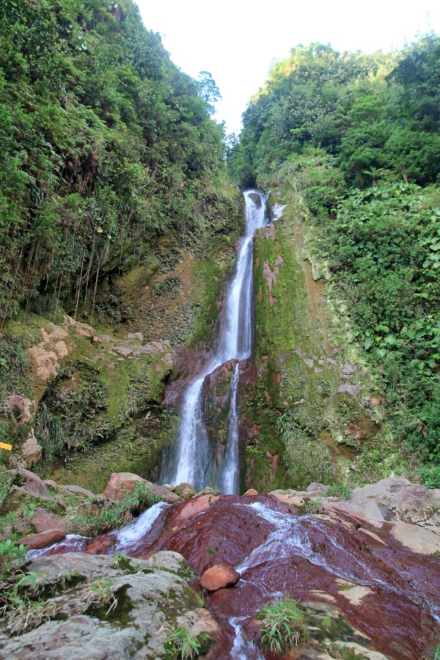 Dans le Parc National de la Guadeloupe