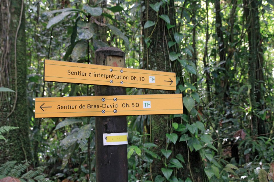 Le sentier d'interpr�tation est par l�