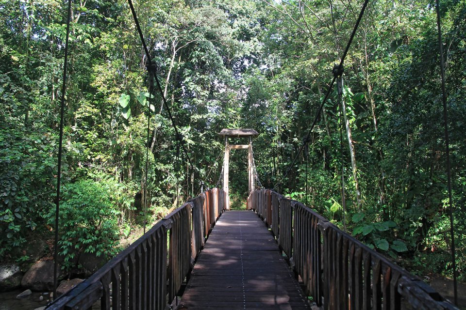 Retour par la passerelle 