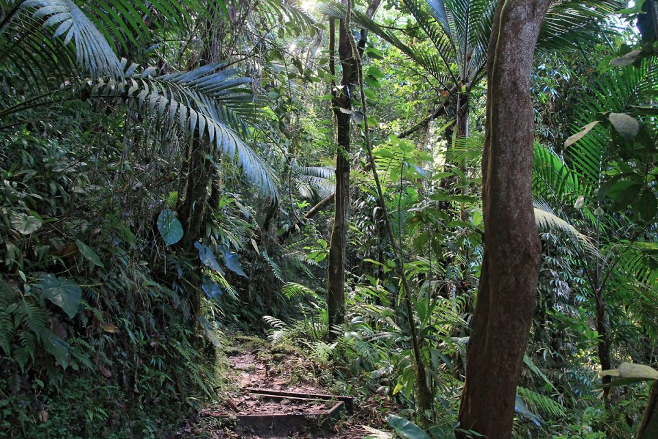 Le chemin grimpe dans de plus en plus