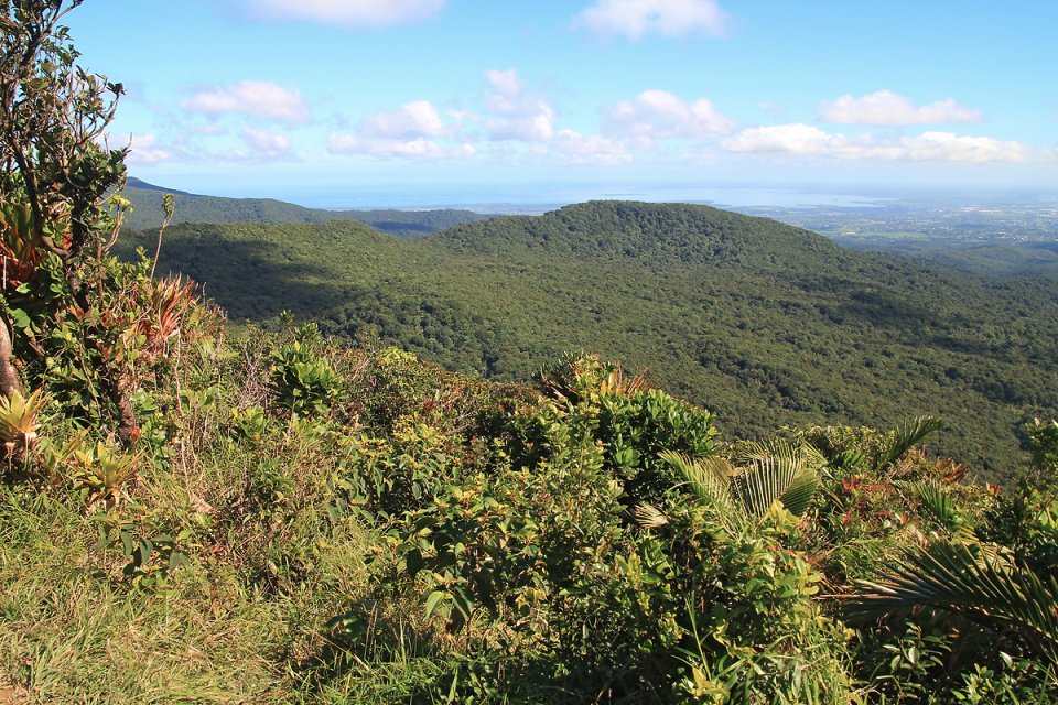 La vue depuis le sommet de la mamelle 