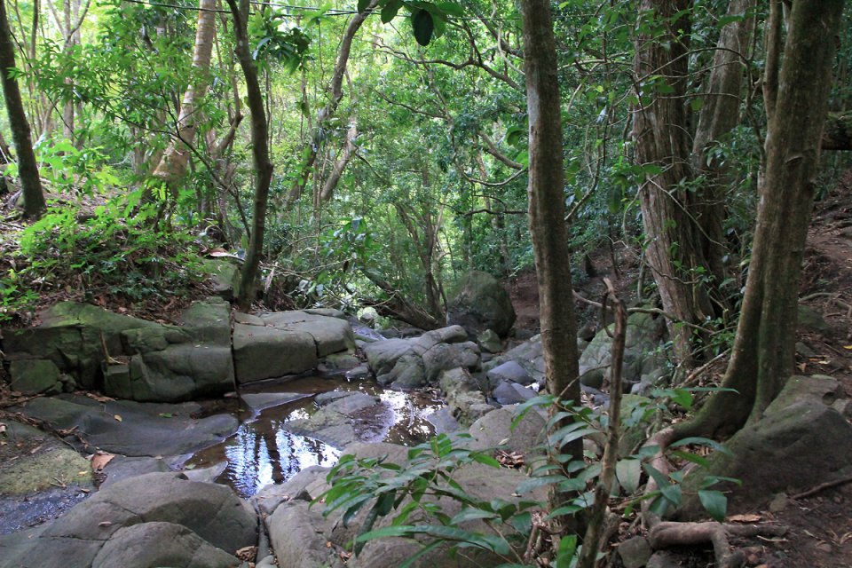 Sur le d�part de la rando