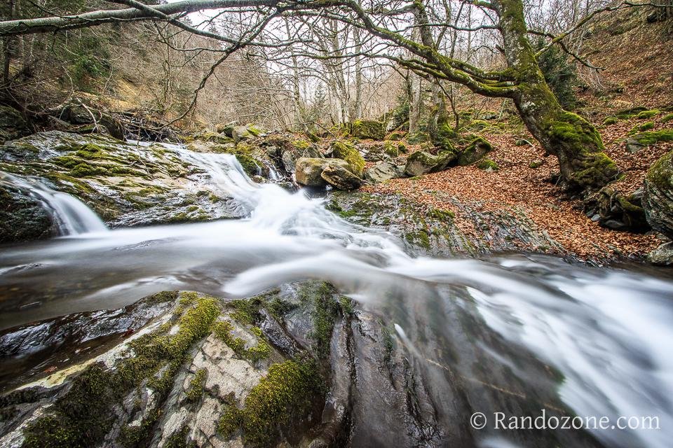 Nature en mouvement