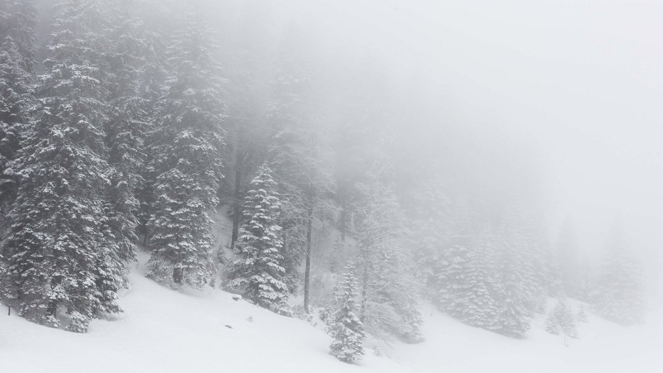 Brouillard givrant