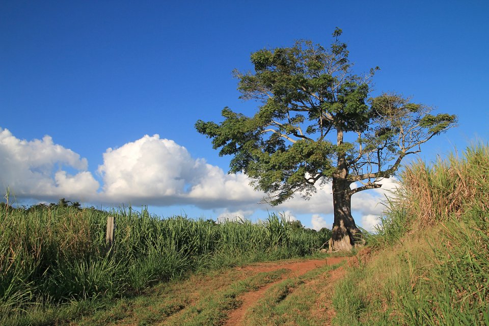 Un temps id�al pour randonner