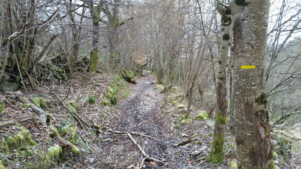 Nous sommes sur un chemin balis� jaune