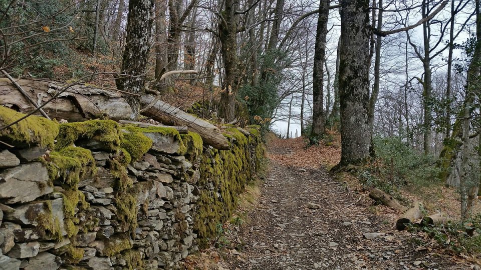 On longe un muret de pierres s�ches