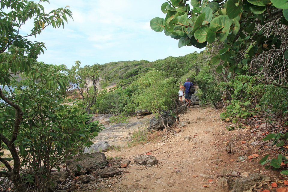 Sur le sentier le long de la mer