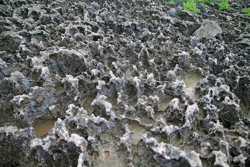 Le sol est assez dangereux par ici