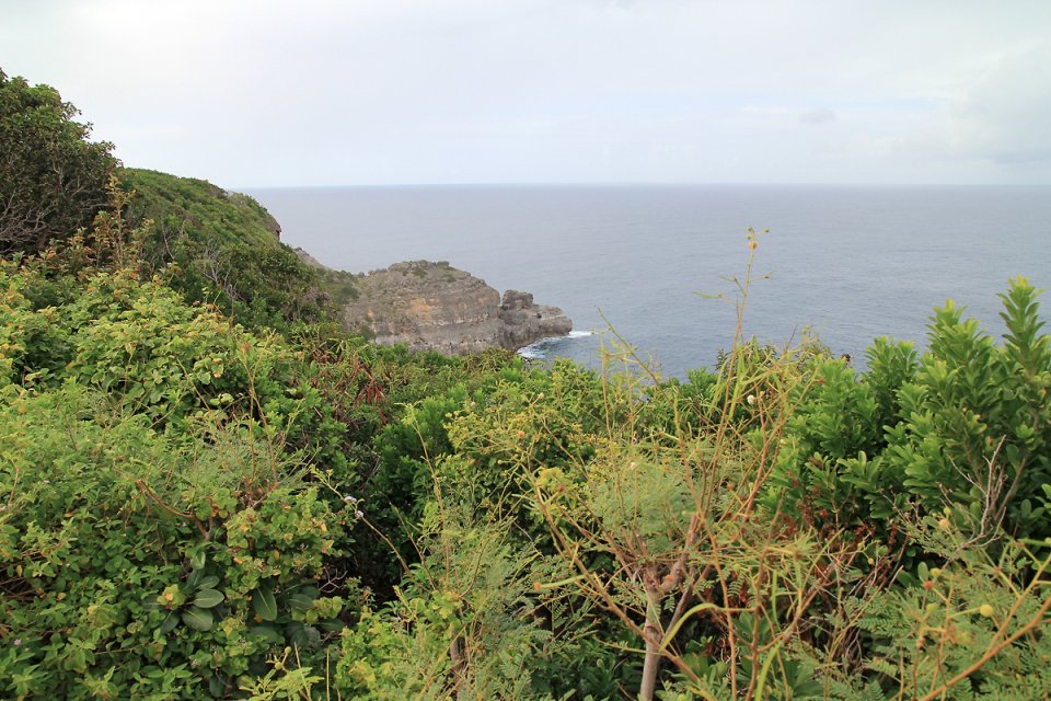 A c�t� de la Pointe de la Grande Vigie