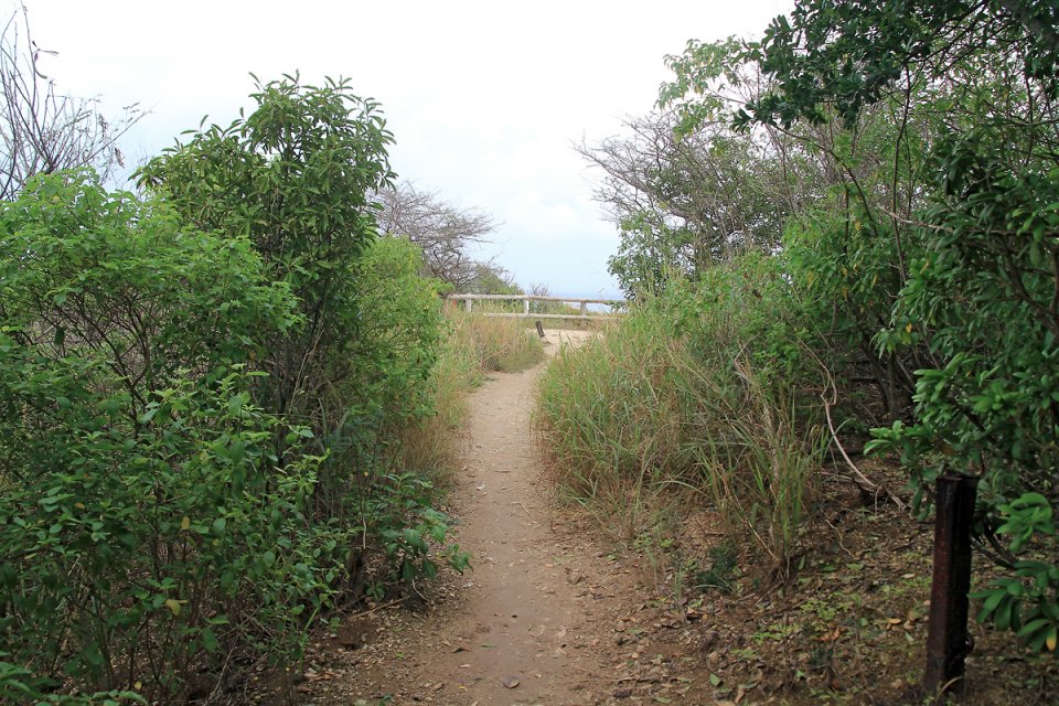 Sur le sentier de randonn�e