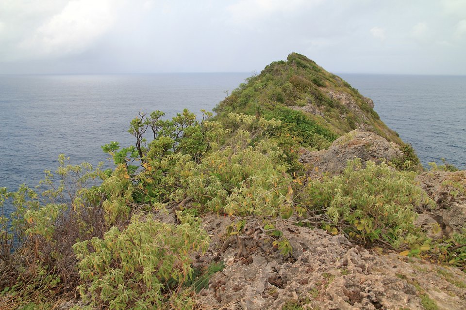 Le bout du bout de la pointe de la grande vigie