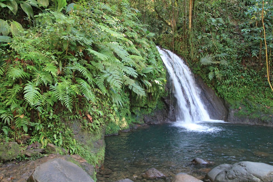 Au coeur de la v�g�tation, la cascade aux �crevisses