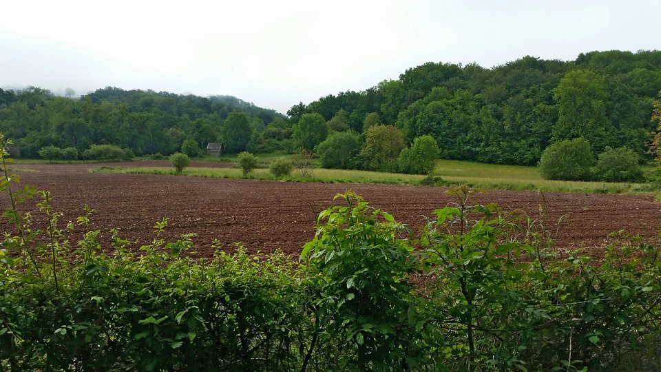 Dans la campagne environnante