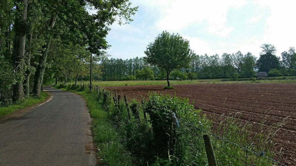 La route emprunte par les plerons de St Jacques