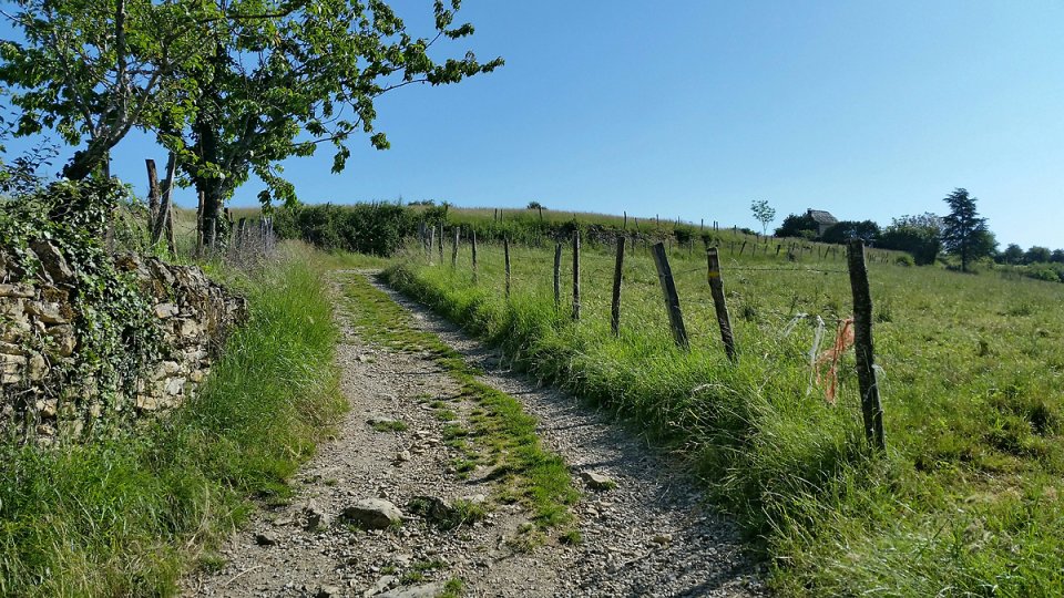 Sur le chemin qui monte 