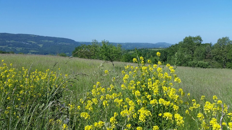 Bleu vert jaune : le printemps est bien l� en Aveyron !