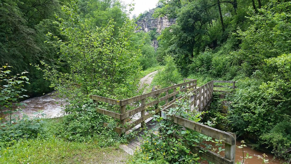 La premire passerelle 