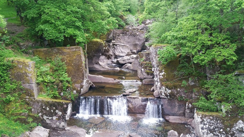 Dans les sous-bois tr�s verts