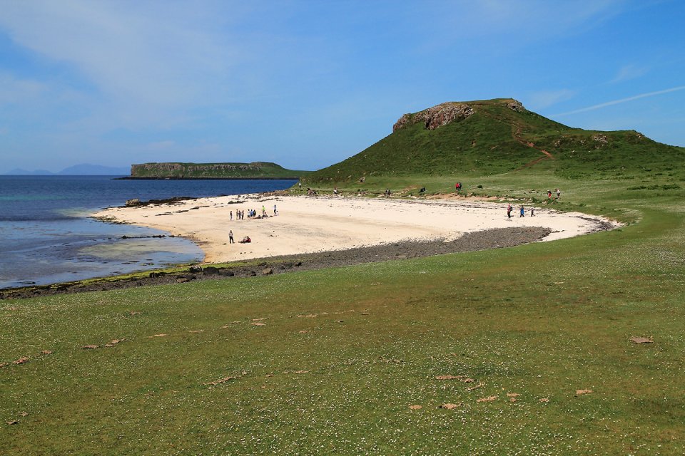 La plage recouverte d'exosquelettes