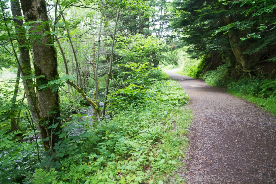 Sur la piste qui longe la rivire