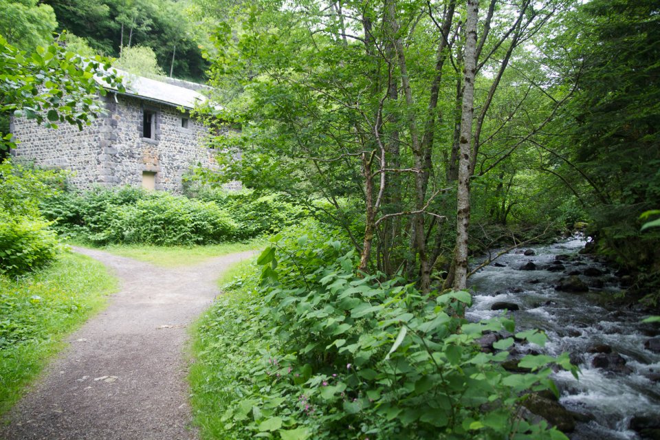 La rivi�re de la Dordogne