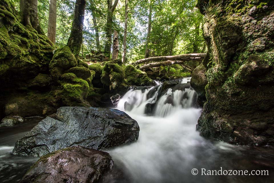 Une petite cascade dans la fort