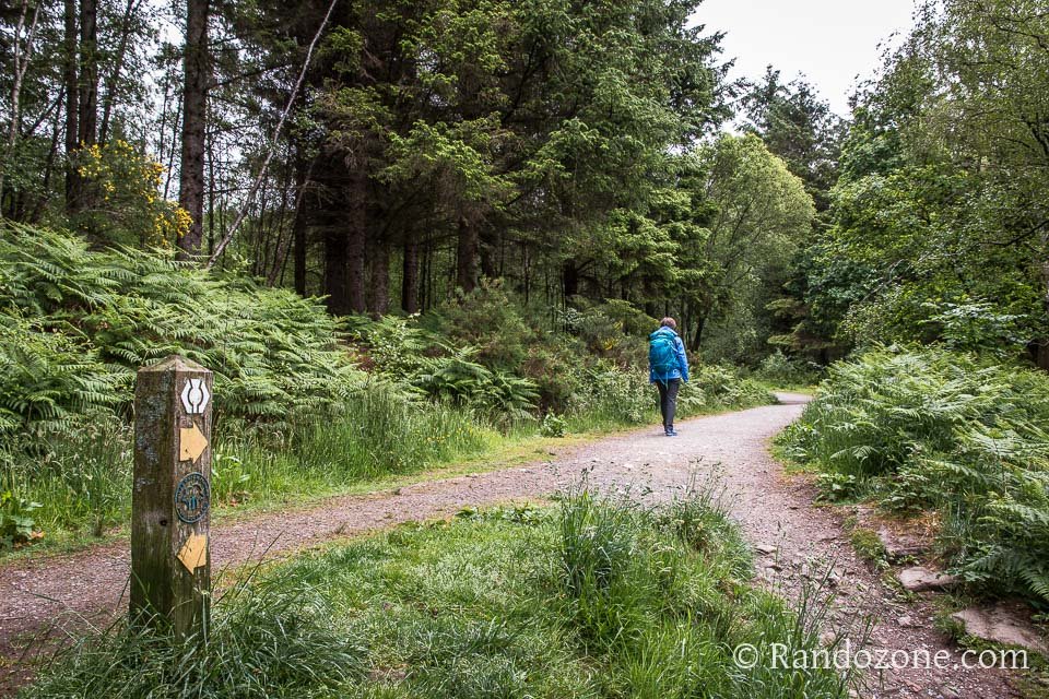 On part  droite pour commencer la randonne