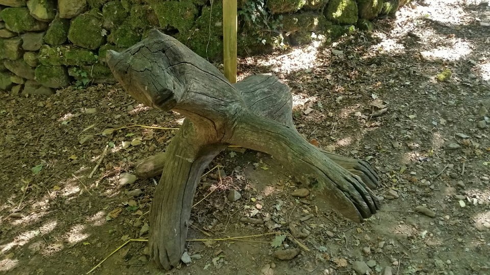 Nous croisons un ours au croisement de chemins