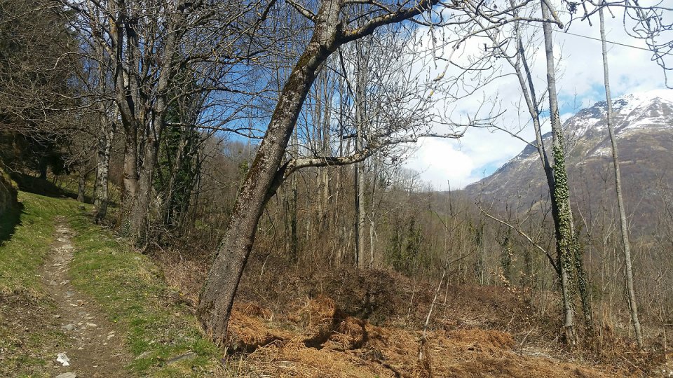 Sur le chemin qui longe la vall�e