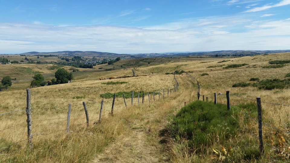 On suit la draille pour rejoindre notre lieu de djeuner