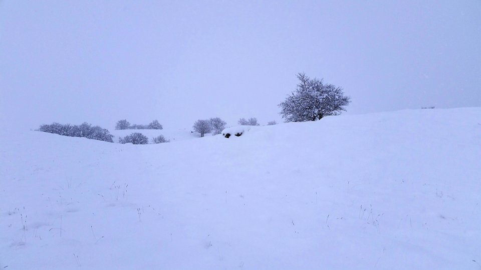 A ct de Saint Urcize, dans le Cantal
