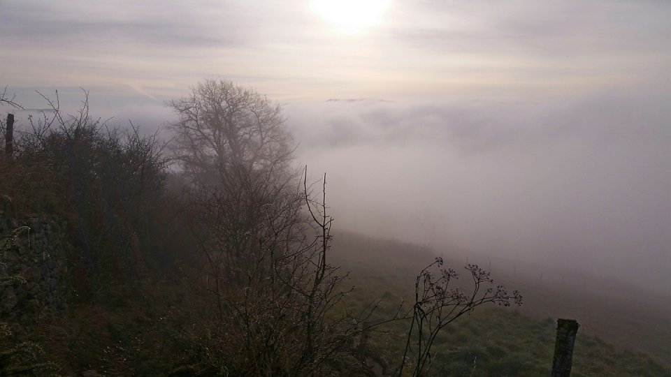 Le brouillard est glacial ce matin