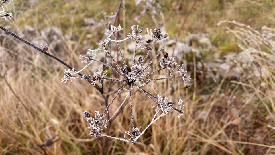 Le givre gagne toute la nature