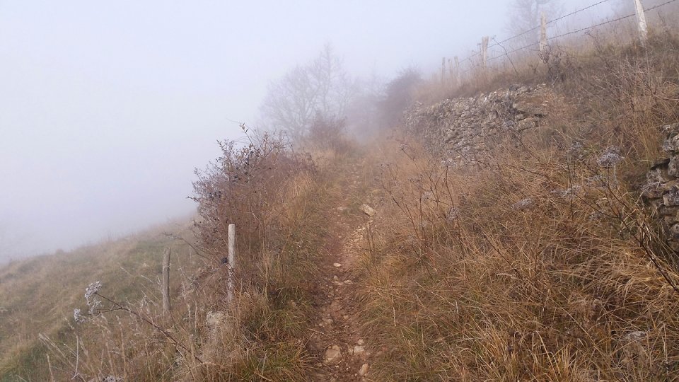 Le sentier qui monte entre les murets