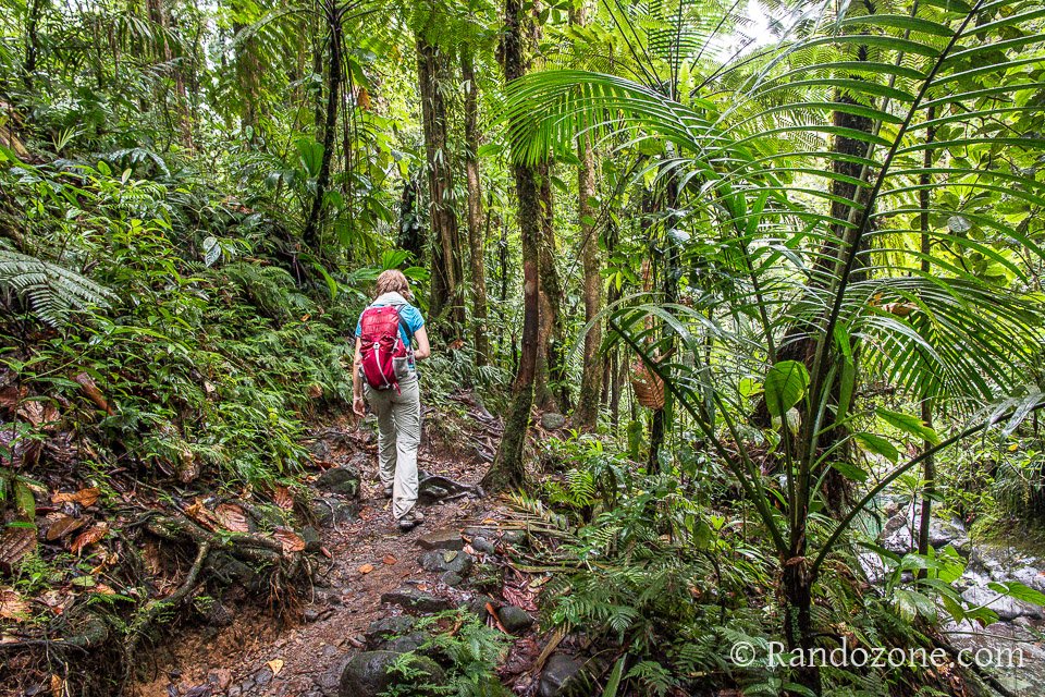 Balade facile le long de la rivi�re